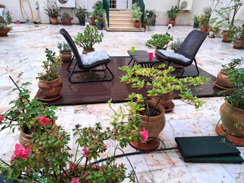 Foto Sunny Green Terrace 1