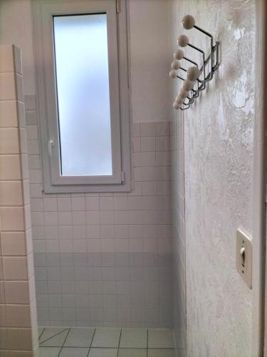 une salle de bain avec douche et fenêtre dans l'établissement Petite maison, le charme de l'ancien, à Saint-Mesmin