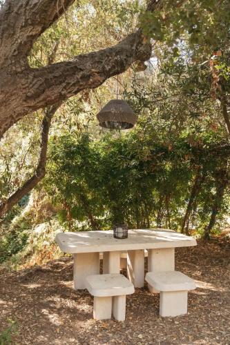 Κήπος έξω από το Topanga Canyon Oasis by Colby & Conrad
