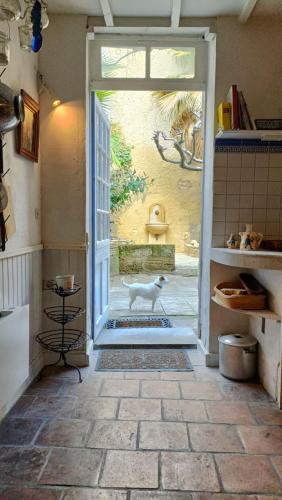 une porte ouverte avec un chien debout à l'extérieur dans l'établissement La Chouette Maison, à Florensac
