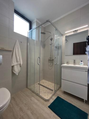 a bathroom with a shower and a toilet and a sink at Pensiunea Livada Techirghiol in Techirghiol
