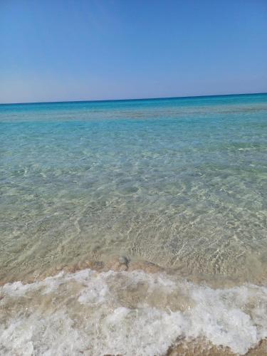 Φυσικό τοπίο κοντά σε αυτό το διαμέρισμα