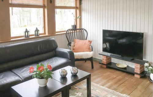 a living room with a couch and a television at Awesome Home In Lekeryd With Wifi in Lekeryd