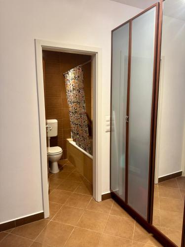 a bathroom with a toilet and a glass door at Belvárosi apartman in Gyöngyös