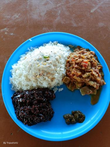 a blue plate of food with rice and beans at Healing Home And Hostel Auroville in Puducherry