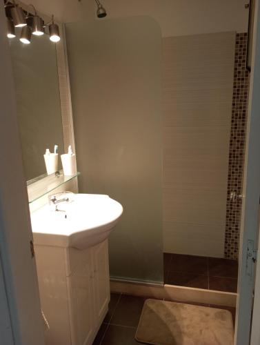 a bathroom with a sink and a shower at Encantador apto frente al mar in Punta del Este