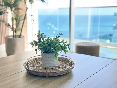 a potted plant sitting on top of a table at Departamento frente al mar con salida directa a playa. in Hollywood