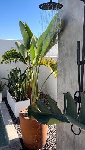Taman di luar Casa Cielo - Private Luxury with Ocean Views
