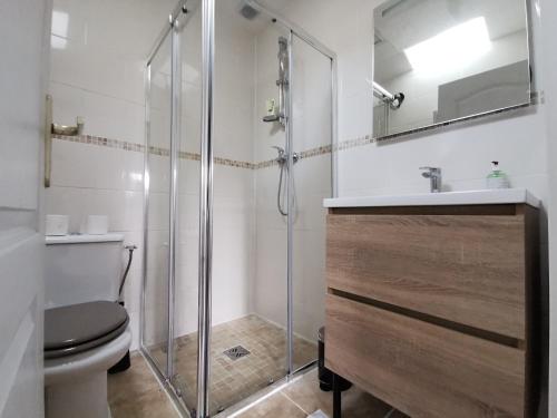 une salle de bain avec une douche, des toilettes et un lavabo dans l'établissement Le Saint Marc, à Quimper