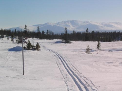 a road in a snowy field with trees and mountains at Åre, Trillevallen stuga Emma in Undersåker