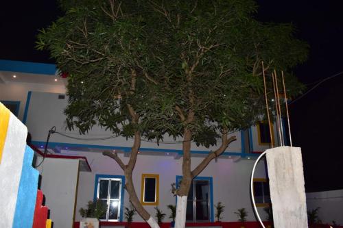 a tree in front of a building with a mirror at TabTrips Laxmi Resort in Bāghmundi