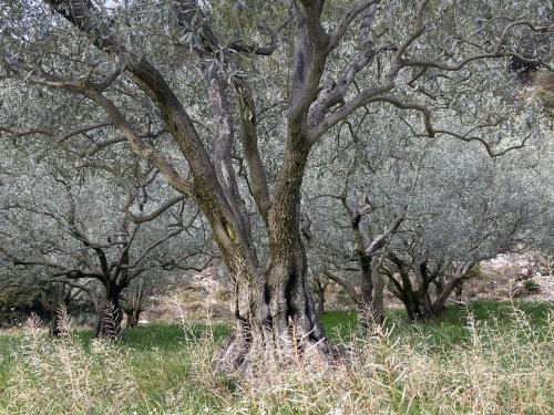 Φυσικό τοπίο κοντά σε αυτή η παραθεριστική κατοικία
