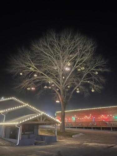 a tree with lights on it in a parking lot at Rabbits Run Mountain Retreat in Mentone