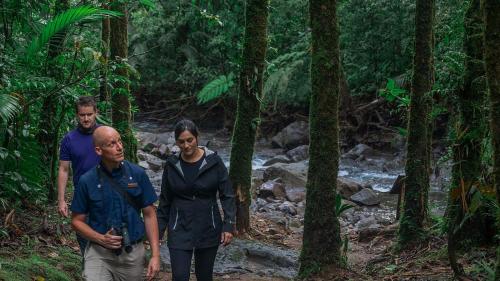 a group of three people walking through a forest at El Silencio Lodge & Spa Costa Rica in Toro Amarillo