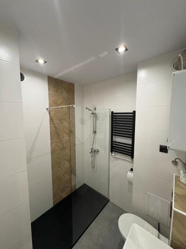 a bathroom with a shower and a toilet at Kościuszki in Sanok