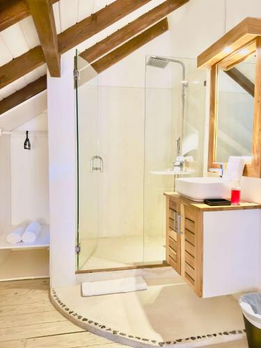 a bathroom with a shower and a sink at Soul Dream Bonita in Las Terrenas
