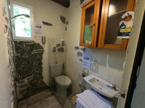 a small bathroom with a toilet and a sink at Maison Maralpine in Roubion