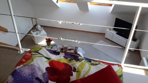 a living room with a bed and a tv at Villa Clee Ferienwohnungen in Cleebronn
