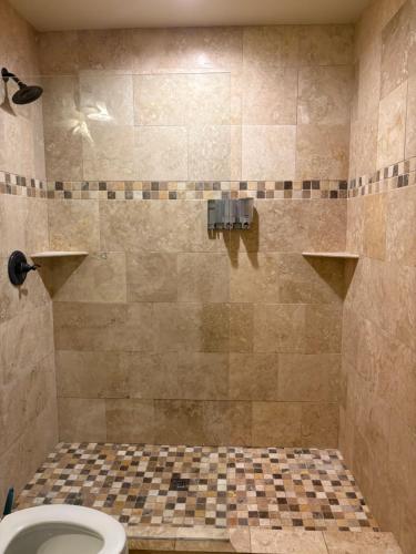 een badkamer met een betegelde douche en een toilet bij 305 Decatur st in New Orleans