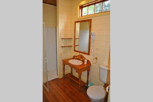 W łazience znajduje się umywalka, toaleta i lustro. w obiekcie The Mill House Cottage w mieście Richmond