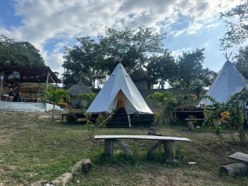 a tent and a bench in a field at Tipiland in Palomino