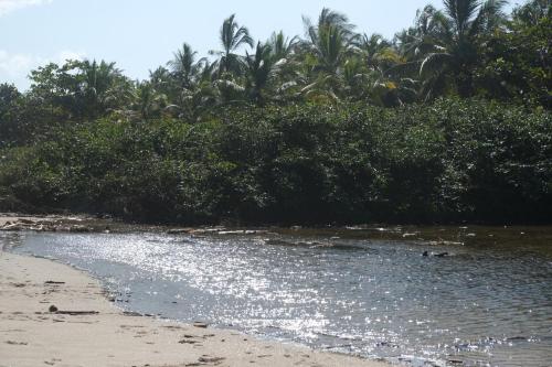 a beach with a bunch of trees and water at Hotel Playa Bonita Tayrona in Buritaca