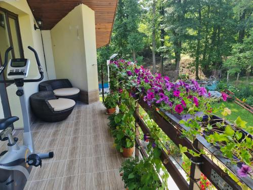 Сад в Villa Janet