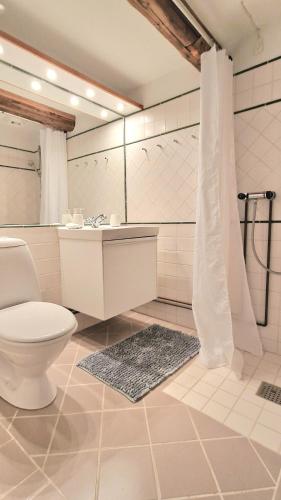 a bathroom with a toilet and a sink and a shower at Charmerende lejlighed i den gamle kirkesmedje in Rønne