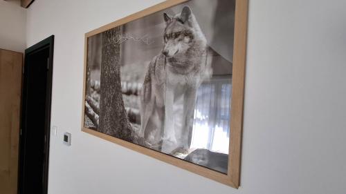 a picture of a wolf looking out of a window at Chalet Prestige in Valča