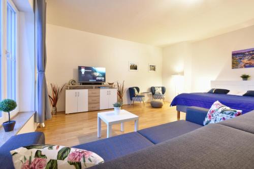 TV a/nebo společenská místnost v ubytování Karlsbad Apartment