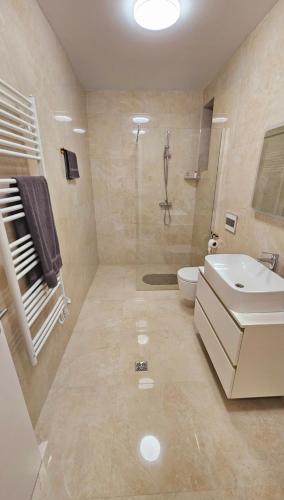 a bathroom with a sink and a toilet and a shower at festina lente in Osijek