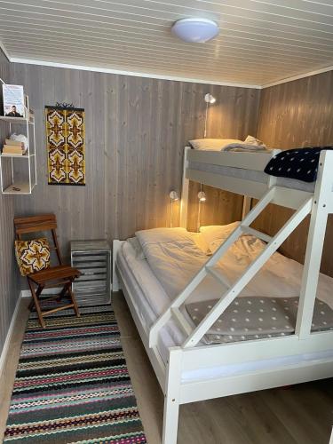 a bedroom with a bunk bed with a ladder at Sommeridyll i vannkanten in Bygland