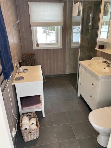 a bathroom with a sink and a toilet at Sommeridyll i vannkanten in Bygland