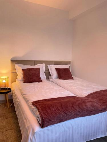 two beds sitting next to each other in a room at Apartament Corvin 1 in Hunedoara