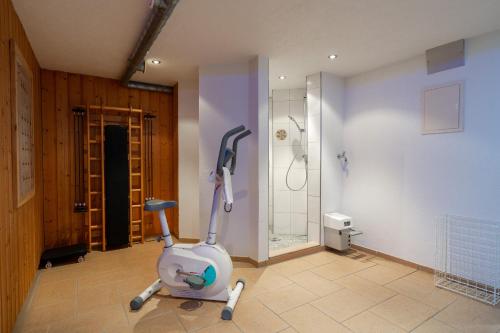 a bathroom with a exercise bike and a shower at Hotel Garni Madrisa in Brand