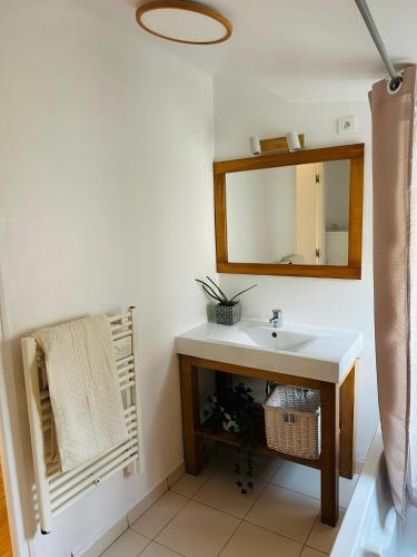 une salle de bain avec un lavabo blanc et un miroir dans l'établissement Les terrasses de la moine, à Cholet