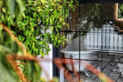 Ein Garten an der Unterkunft Hotel Labiatan