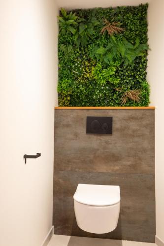a white toilet in a bathroom with a green wall at Haut Koeur du Château in Saint-Hippolyte