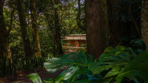 a house in the middle of a forest at Los Pinos Cabins & Reserve in Monteverde Costa Rica