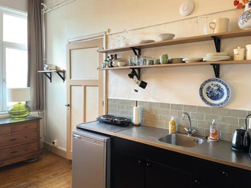 a kitchen with a sink and a counter at Logis Pastis in Maastricht