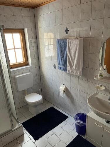 a bathroom with a toilet and a sink at Ferienhof Hillenberg in Hausen