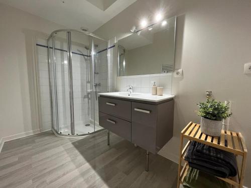 une salle de bain avec une douche, un lavabo et un miroir dans l'établissement La Pause Cosy, à Mâcon