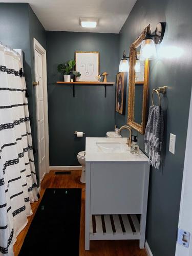 a bathroom with a white sink and a blue wall at Rabbits Run Mountain Retreat in Mentone