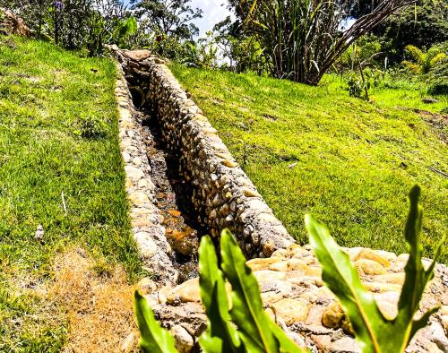 Κήπος έξω από το Chalé Jequitiba, hidro, lareira, natureza, Sul de Minas