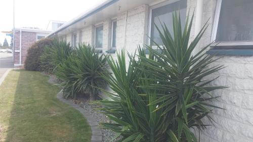 Zahrada ubytování Raymar Motor Inn