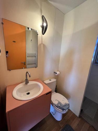 une salle de bain avec un lavabo et des toilettes dans l'établissement Résidence 076-le Verdon Sur Mer - 076 - Dépaysagement total pour ce chalet en pleine nature MAE-9681, au Le Verdon-sur-Mer