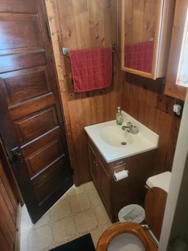 a small bathroom with a sink and a toilet at big kahuna in Steuben