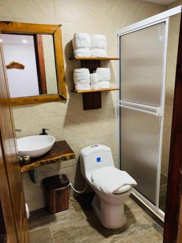 a bathroom with a toilet and a sink and a shower at Hospedaje Vista Hermosa Salento in Salento