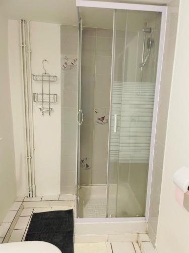 une douche avec une porte vitrée dans une salle de bain dans l'établissement Studio Le Belle Vue, à Tournon-sur-Rhône