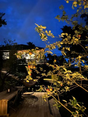 a tree in front of a table and a sky at Ringåsen in Berg
